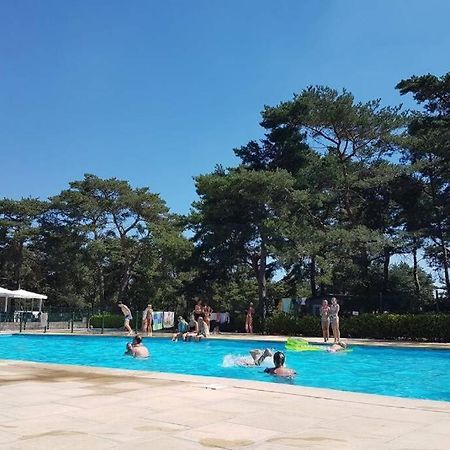 " Casitacuriosa " Chalet Op Camping Met Buitenzwembad Balen Exterior foto